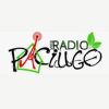Electro Fryday Rebroadcast